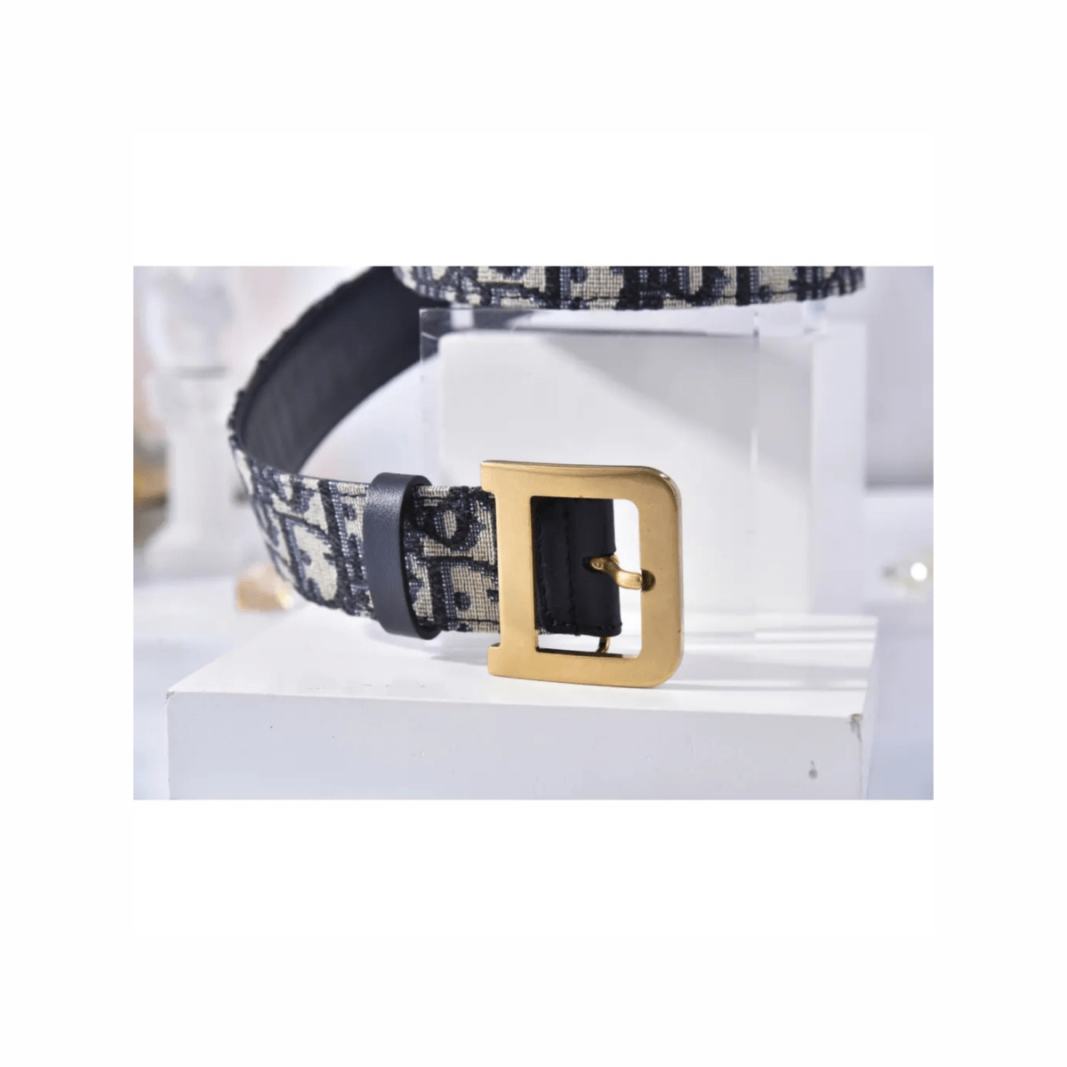 Canvas Diorquake Buckle Belt - WatchMatic