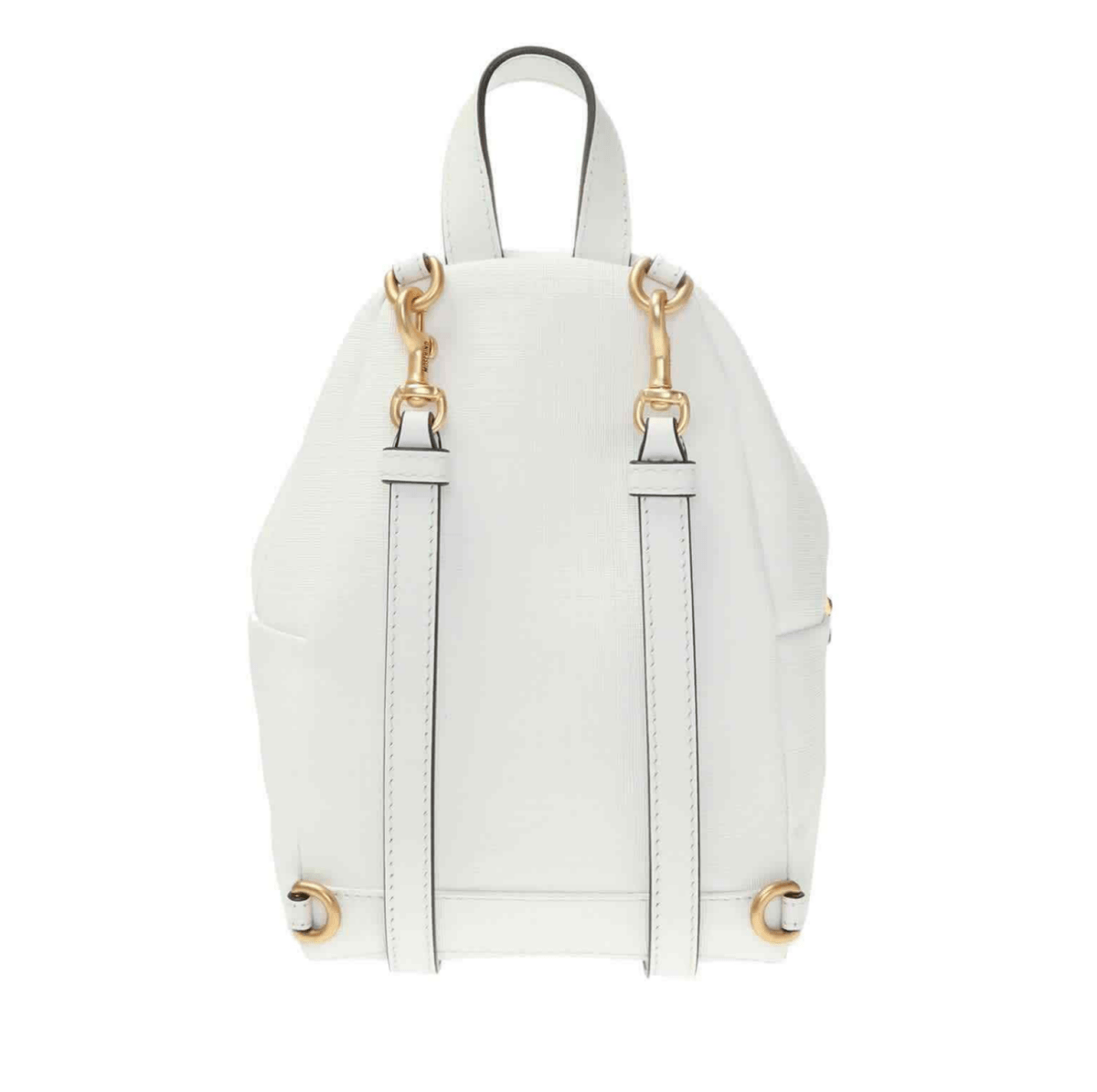 Couture Bag Teddy Bear - WatchMatic