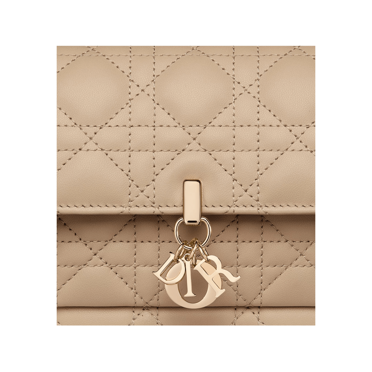 Dior Daily Pouch with Chain - WatchMatic