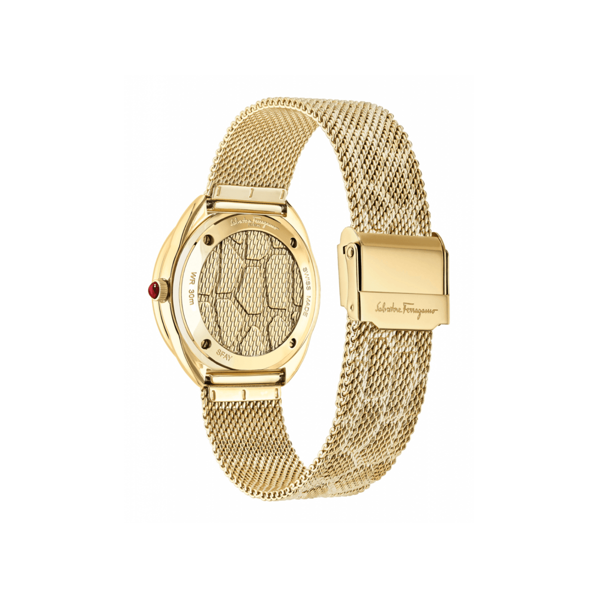 FERRAGAMO Cuir Women's Watch SFAY00519 - WatchMatic