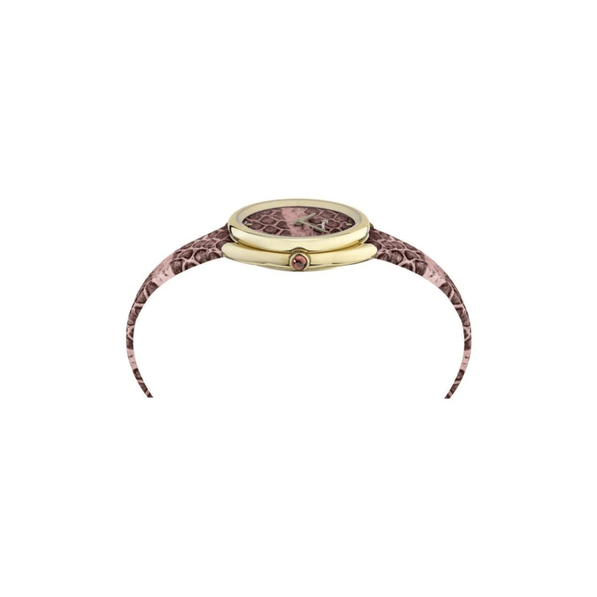 FERRAGAMO Cuir Women's Watch SFNE00219 - WatchMatic