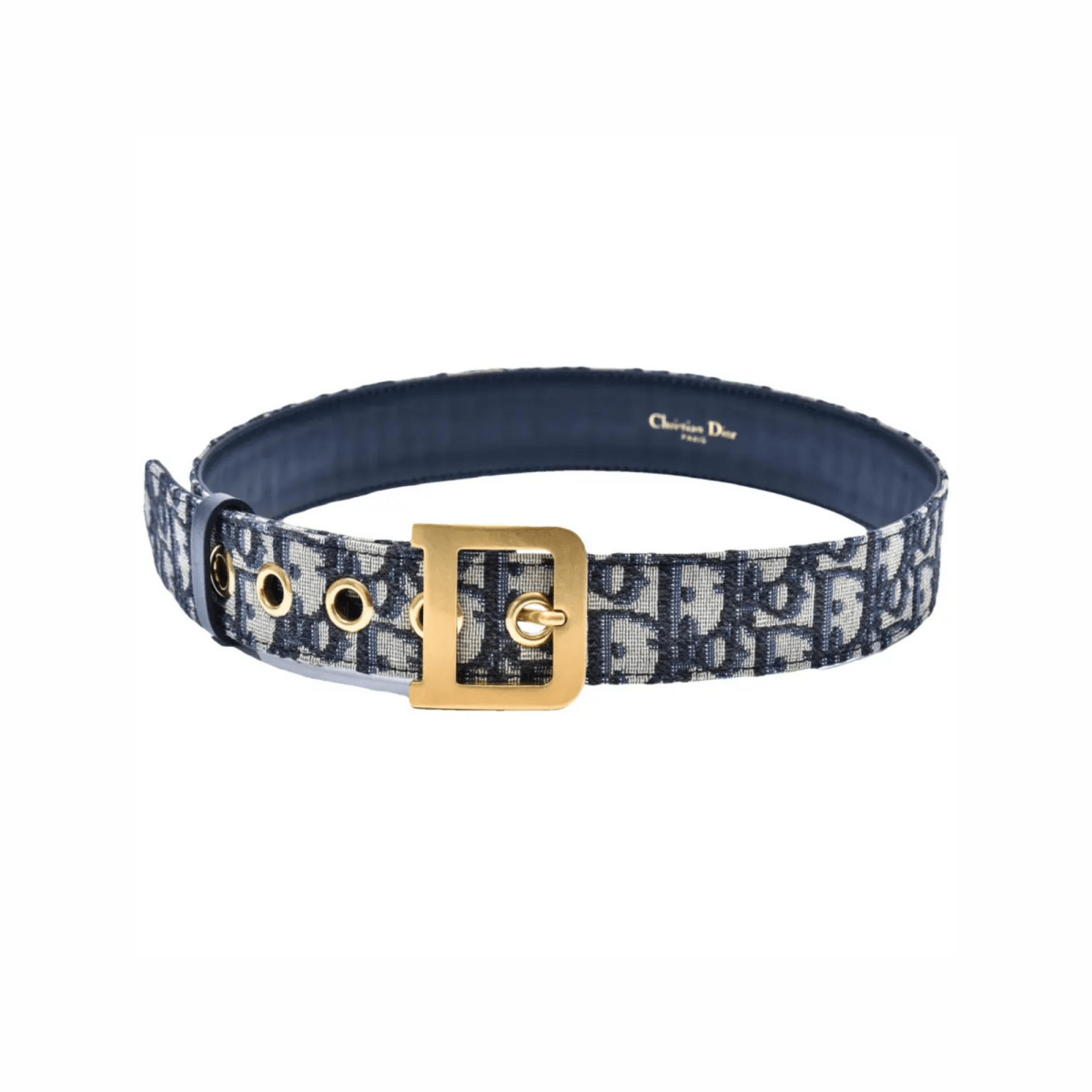 Canvas Diorquake Buckle Belt - WatchMatic