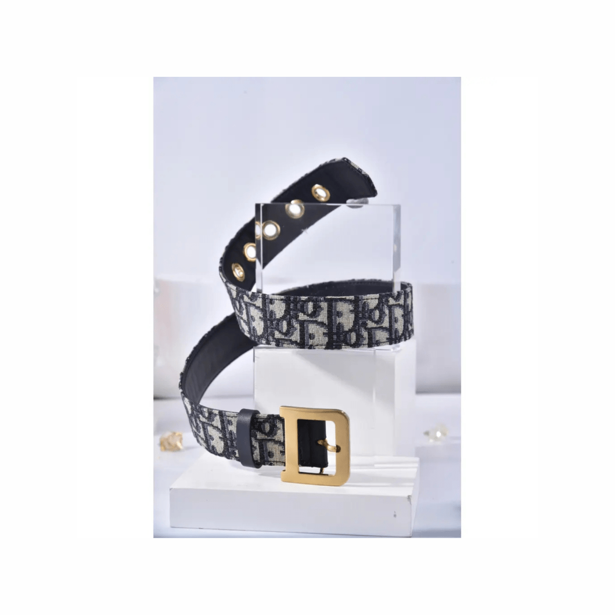 Canvas Diorquake Buckle Belt - WatchMatic