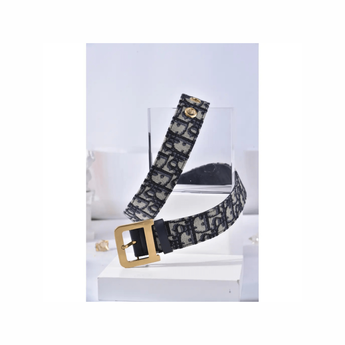 Canvas Diorquake Buckle Belt - WatchMatic