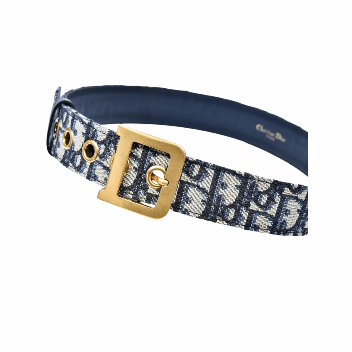 Canvas Diorquake Buckle Belt - WatchMatic
