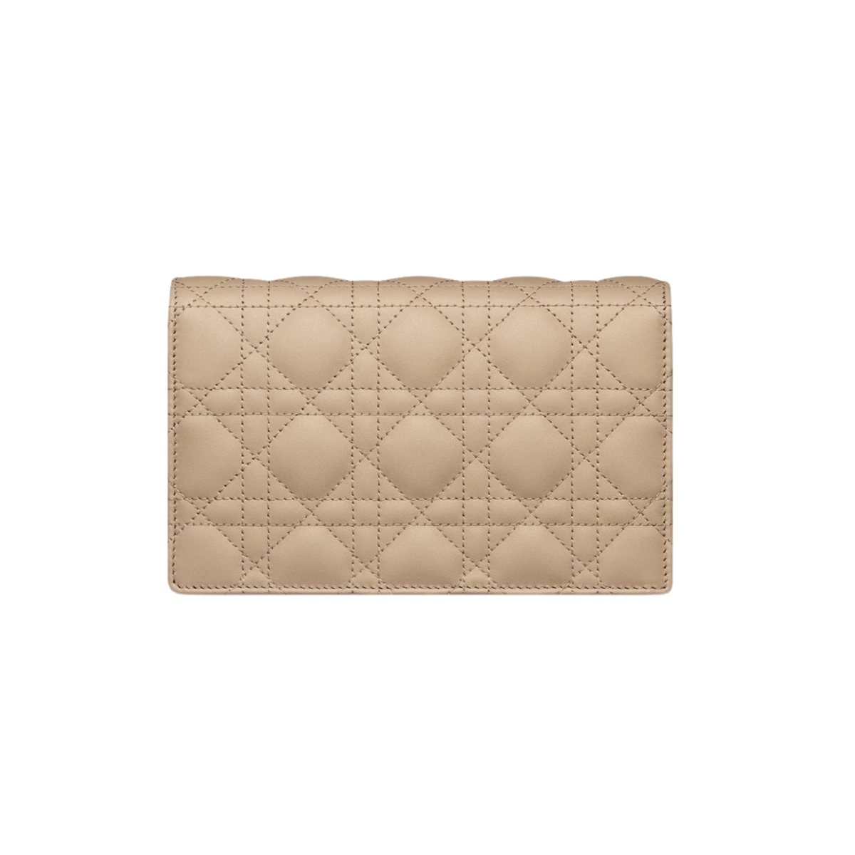 DIOR Dior Daily Women's Pouch with Chain S0937ONMJ_M116 - WatchMatic