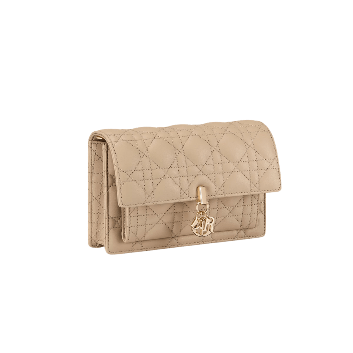 DIOR Dior Daily Women's Pouch with Chain S0937ONMJ_M116 - WatchMatic