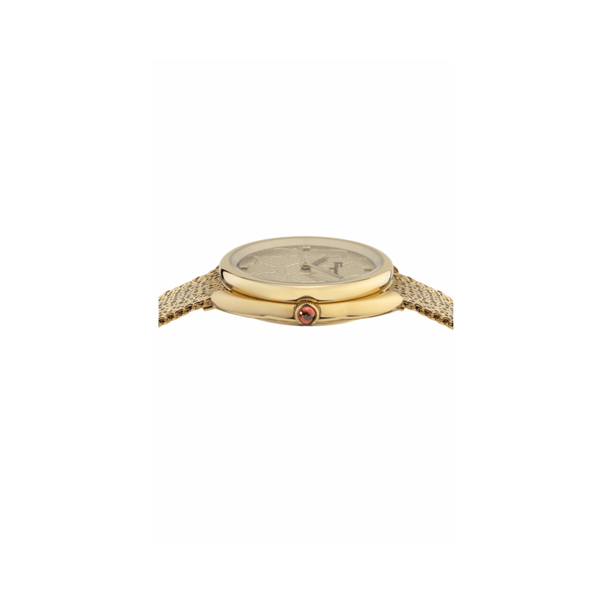 FERRAGAMO Cuir Women's Watch SFAY00519 - WatchMatic