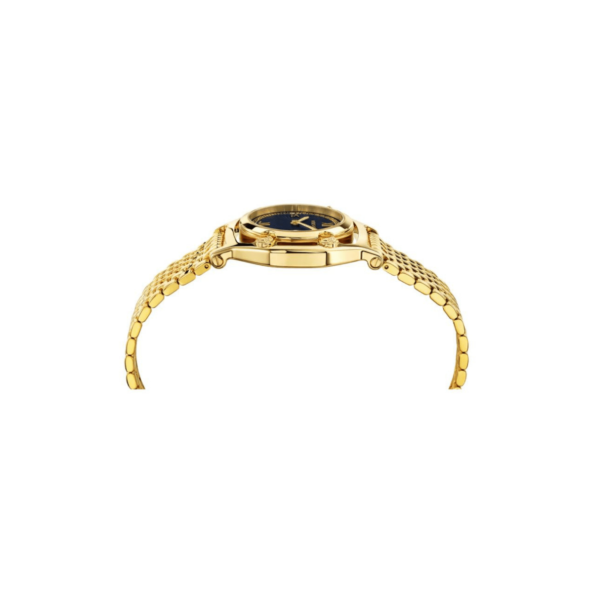 Medusa Frame - WatchMatic
